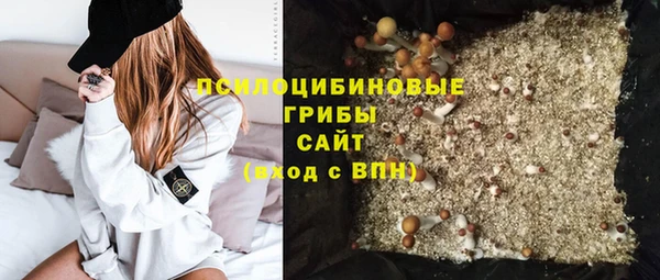 сатива Заволжье