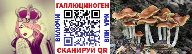 Псилоцибиновые грибы Cubensis  цена   shop клад  Киржач  МЕГА онион 